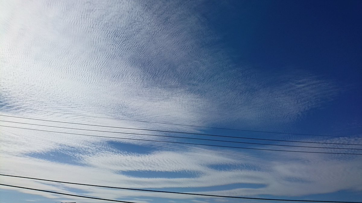 chanachanne's tweet photo. 空がビリビリしてるみたい
#波状雲 #イマソラ #雲 https://t.co/PVOhuT0akC