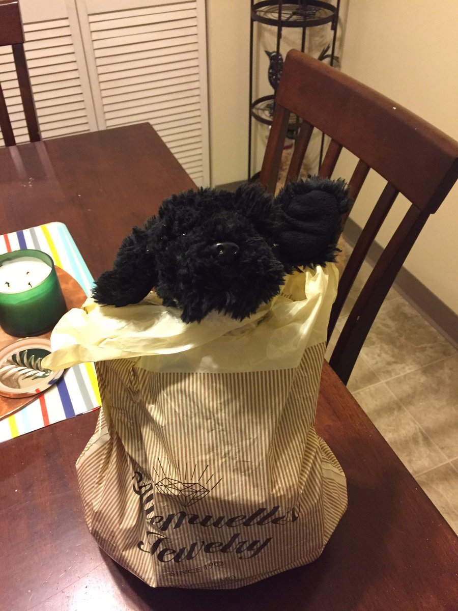 amandahopen_'s tweet photo. My dog is staying at my apartment with me for one night &amp; my mom packed an overnight bag for her complete with pajamas and her favorite toys https://t.co/pS30eGnIbd
