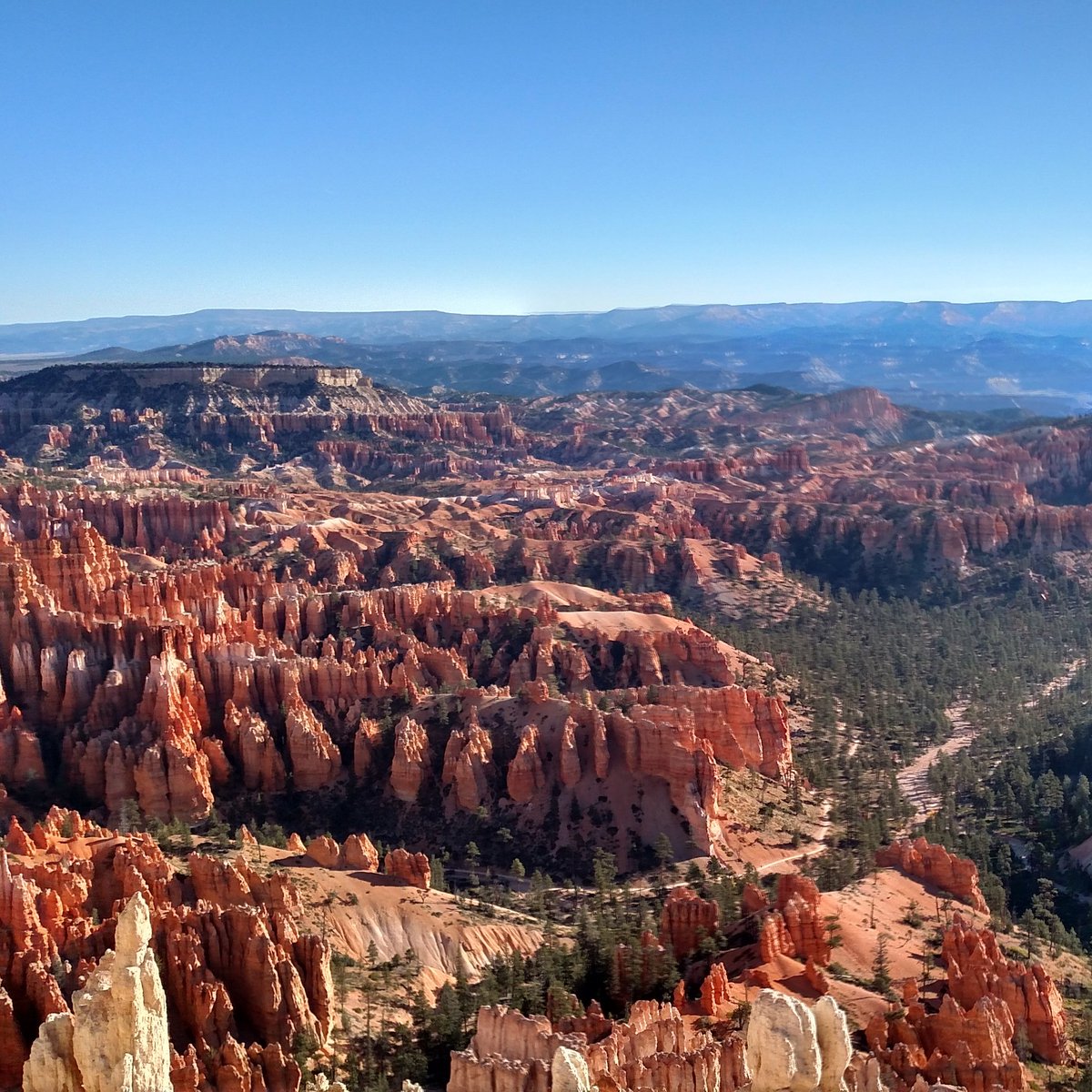 outdoortravella's tweet photo. Enjoying the view of Bryce Canyon. #nofilter #optoutside #utah #utahfive #brycecanyon #nationalparks #neverstopexploring #landscapes https://t.co/RV4aNJA8f7