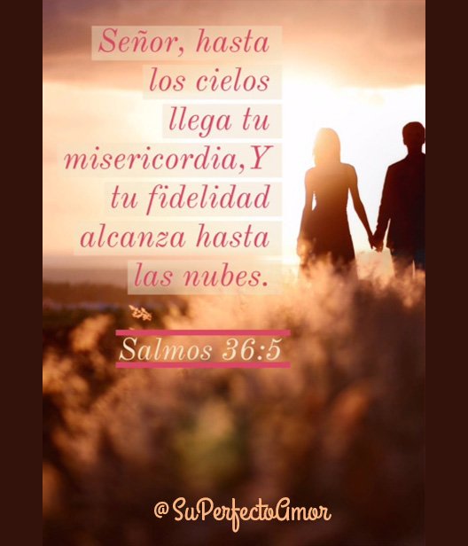 superfectoamor's tweet photo. Tu fidelidad alcanza hasta las nubes 📖 #FelizMiercoles #MiercolesDeGanarSeguidores #Evangelio #PalabraDeVida #Biblia https://t.co/2fHWvWINSH
