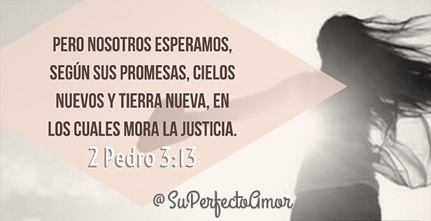 superfectoamor's tweet photo. Cielos nuevos y tierra nueva 📖  #FelizDomingo #DomingoDeGanarSeguidores #Evangelio #PalabraDeVida #Biblia https://t.co/j82IpMLKOP