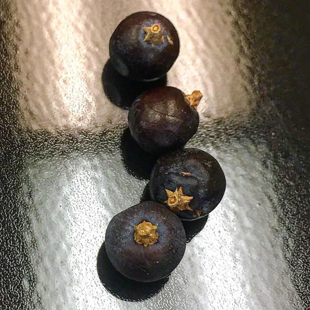 🍸Juniper Berries are bittersweet, tart and fragrant. The unique flavor goes well with game… ift.tt/2h0E8Bk