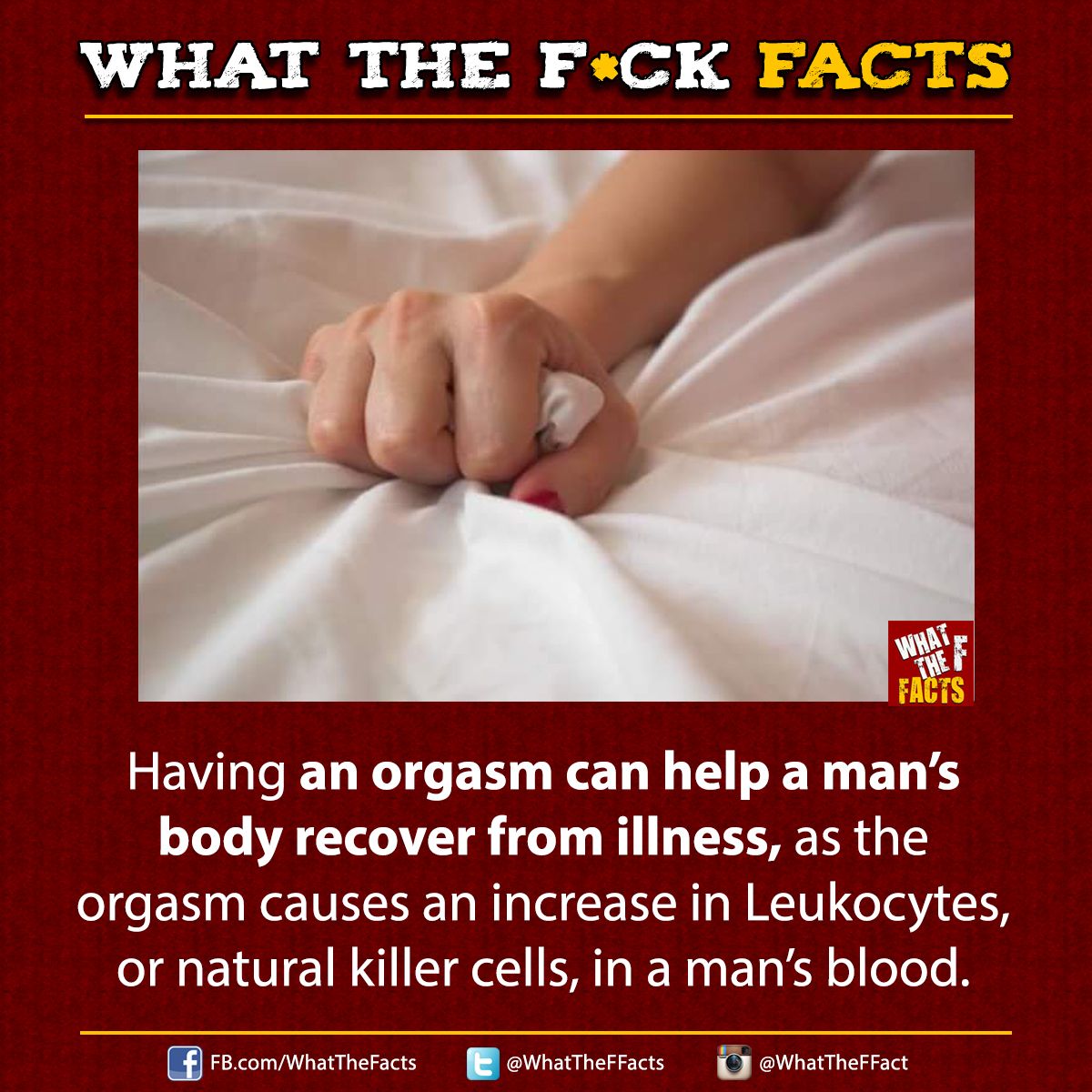WhatTheFFacts's tweet photo. https://t.co/Ov38WZGaH7