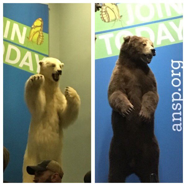 michelleames's tweet photo. I can "bearly" stand how awesome this after party is! #wcus https://t.co/jN8O4Xpd1k