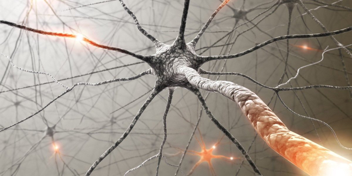 FactFictionPod's tweet photo. Painless Zap to the Brain Resurfaces 'Forgotten' Memories https://t.co/ANPMN6BX8k https://t.co/yir5PhZM30