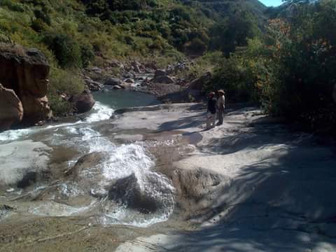 Ricardo01596181's tweet photo. Rulaachin  shena rilii lo xhia yee.
Niina rioonun día de campo shuguelta.✌✌ #UsaTuVoz  #VocesValle https://t.co/pKqAsvTEVK