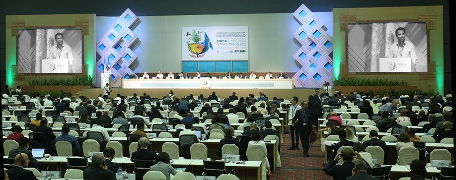 <a href="/CBDNews/">CBD News (Archive)</a> <a href="/COP13MX/">COP13MX</a>  <a href="/SprepChannel/">SPREP</a> #HLS Cancun Declaration-mainstreaming biodiversity in 4 sectors fisheries,forestry,tourism nd agriculture