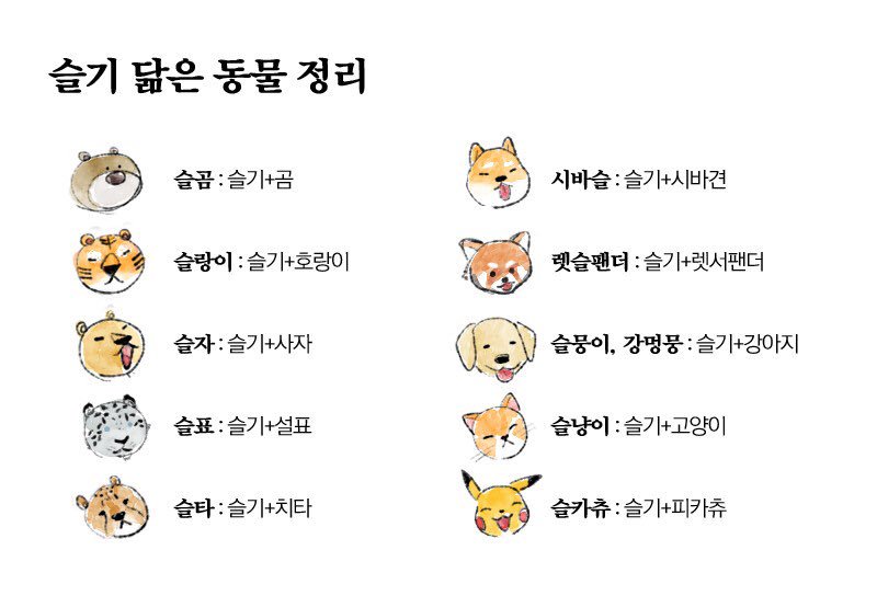 DC_SEULGI's tweet photo. 슬기갤러리 단어장 ver 1.0

- 닮은 동물

https://t.co/kkyvcGvAnn https://t.co/HjO1523rMf