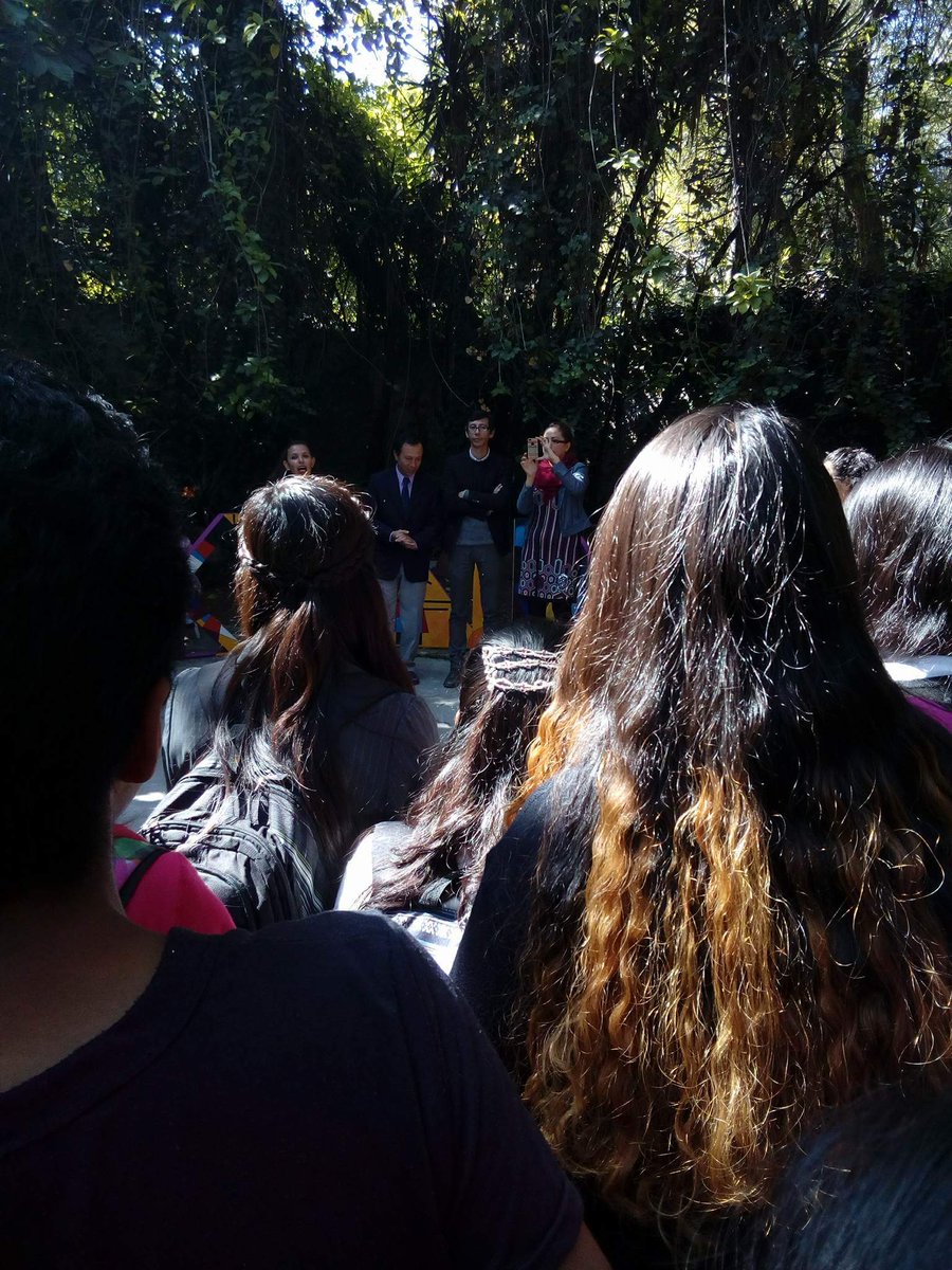 FannyMigueel's tweet photo. #Deconstruyendoakandinsky
#Bacho5
#Colbach5
@archivoda
@Sep_mx https://t.co/4u4Npls90R https://t.co/EtNqZanoJO