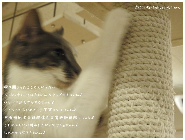 Twitterで画像を見る