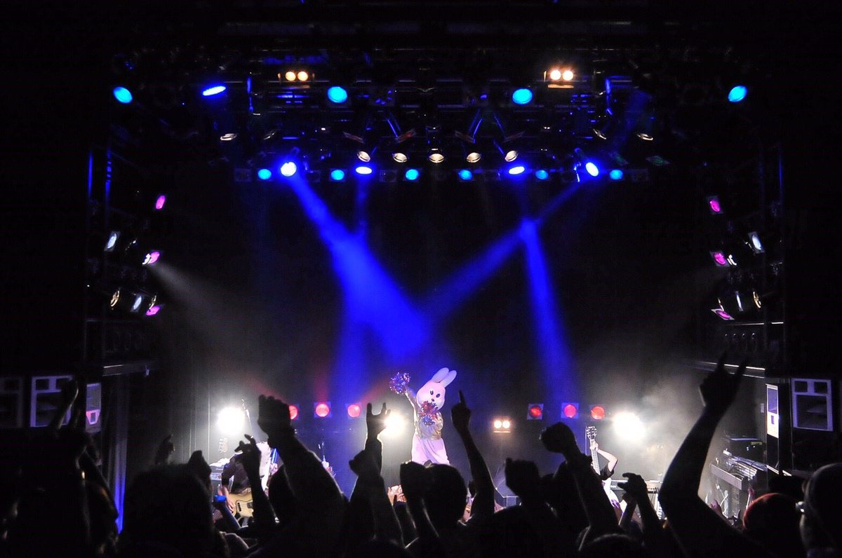 butaotome_ranko's tweet image. 昨日ライブの写真ちょっと出し( ¨̮ )