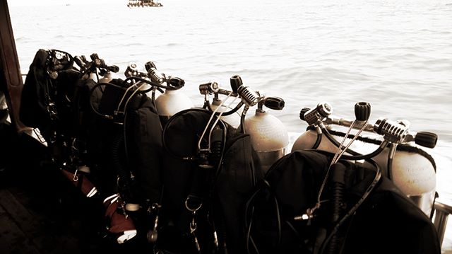 Right now Deco 50 at Hon Mun Island Vietnam. #diving #scuba #sea #underwater #scubadiving #gopro #ocean #padi