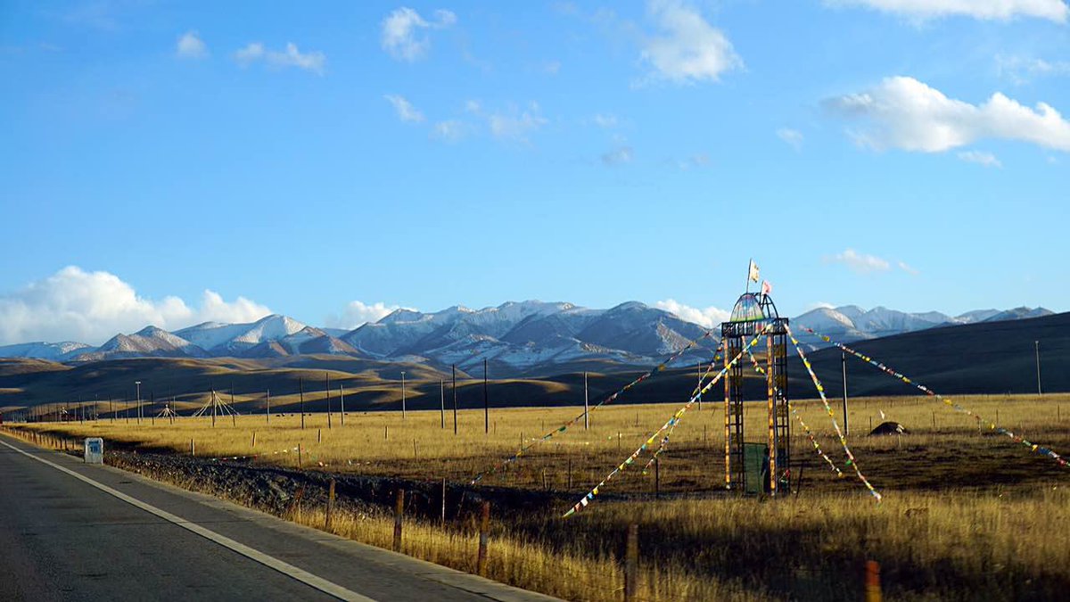 _docfox's tweet image. hello，world