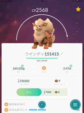 ポケモンgoのチラシの裏