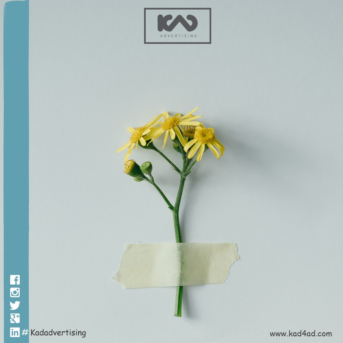 يحدُث كثيراً أن نبكي معتقدين بأن صدر الحياة ضيقٌ ، والحقيقة
أن احلامنا هي التي لاتتسع للحياة .