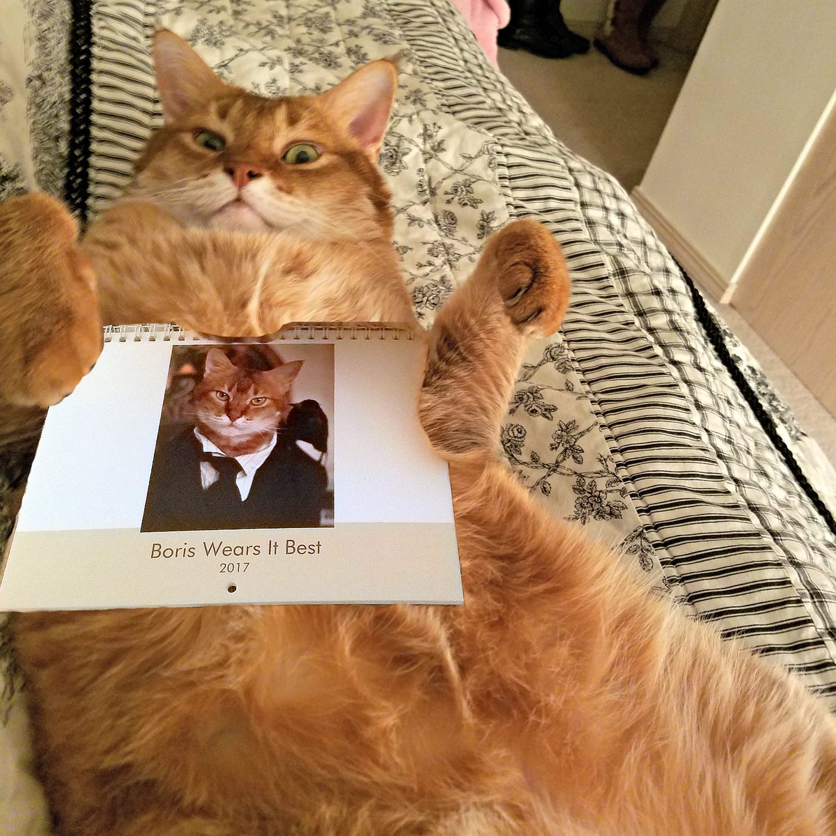 BorisWearsIt's tweet photo. Only a handful of 2017 Boris wall calendars left!  Pick one up before they are gone forever! https://t.co/3lRKHPxbdD #Catcalendar #Caturday https://t.co/igNaQwu0Ml