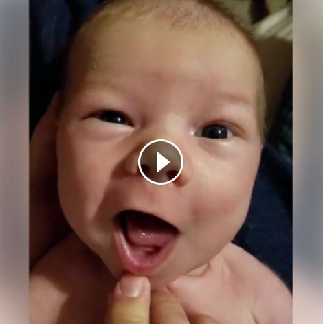 RiverValeNJ's tweet photo. WAAAY too cute not to share! The Video is Adorable! Enjoy! https://t.co/gneods3B1K
