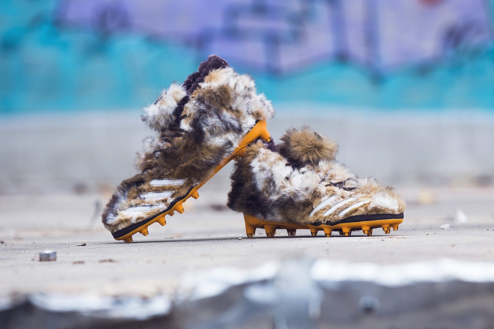 Cz-J831UkAA499W.jpg:large