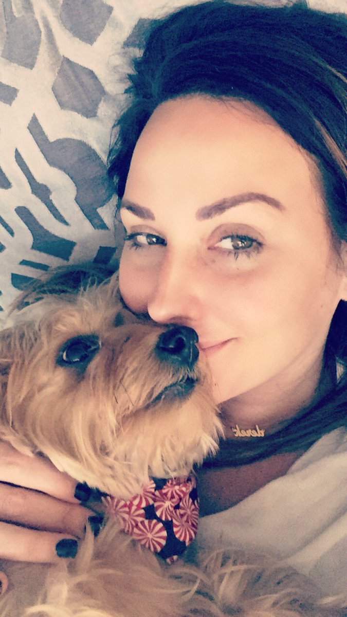 invisalignguy's tweet image. #SuperSoulSunday #AdoptDontShop #tampabay