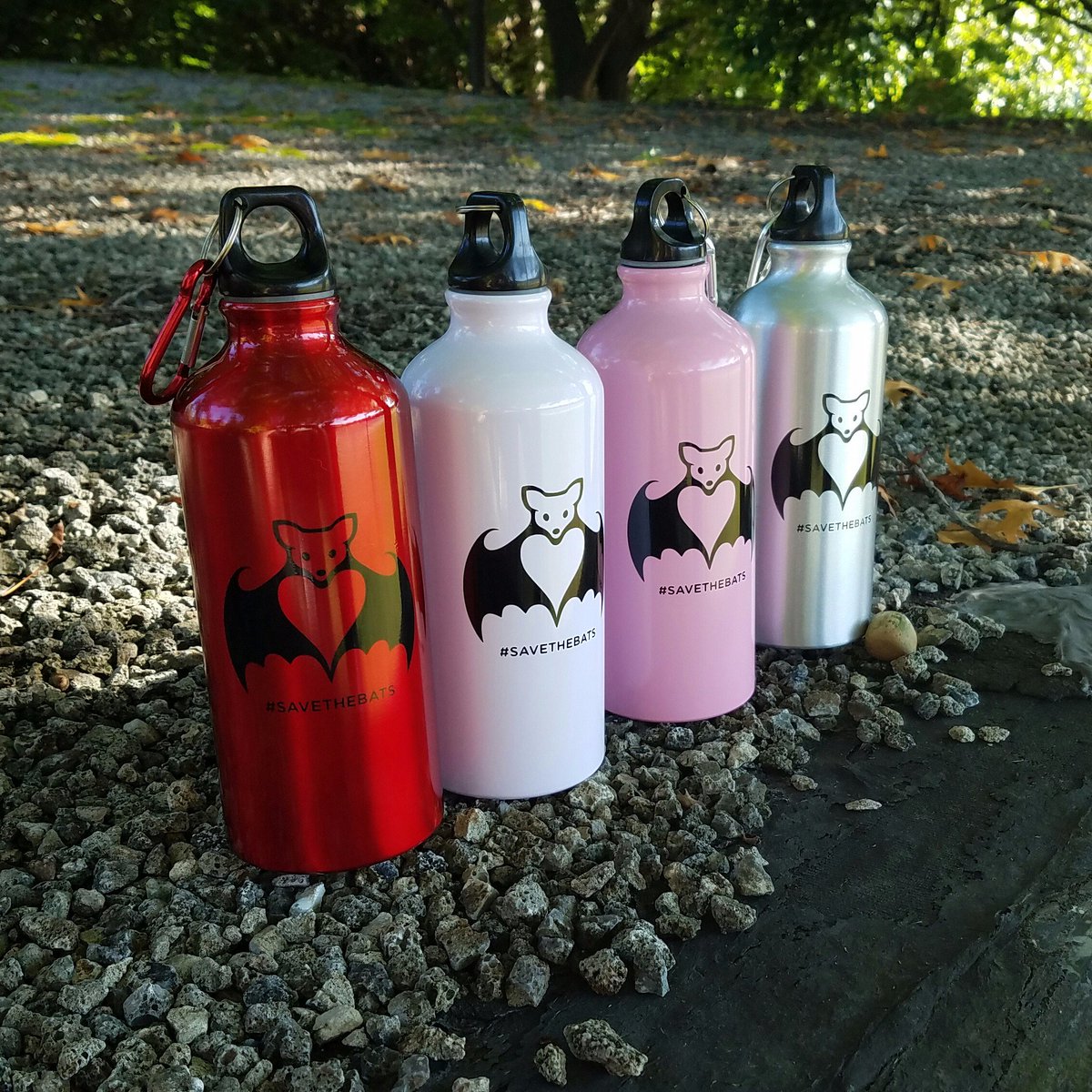 BatConservation's tweet photo. Holiday sale has arrived at the #BatStore! We're offering 10-20% off of old #SavetheBats gear &amp; new arrivals: https://t.co/PVMprTAdel https://t.co/C5CQpkp6IC