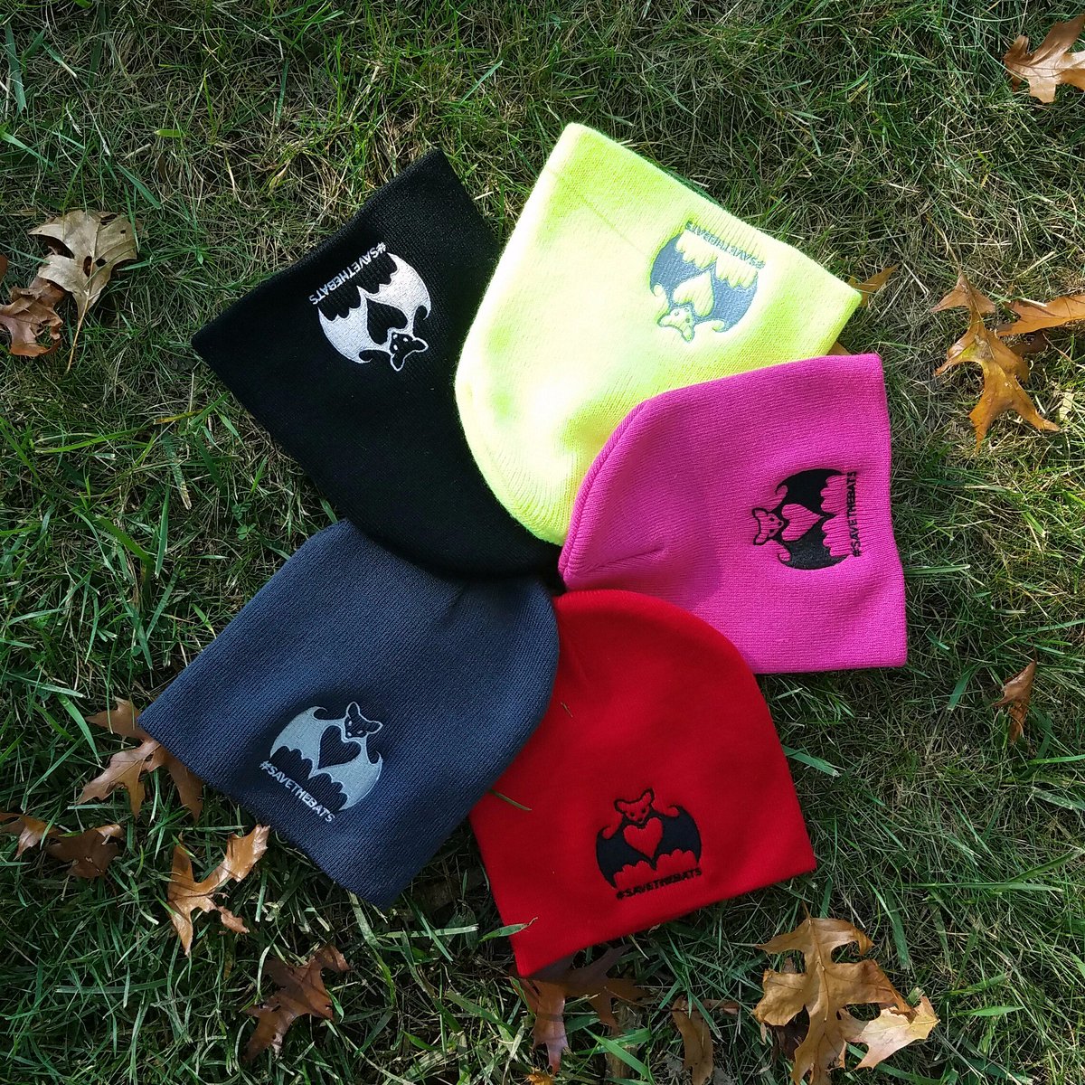 BatConservation's tweet photo. Holiday sale has arrived at the #BatStore! We're offering 10-20% off of old #SavetheBats gear &amp; new arrivals: https://t.co/PVMprTAdel https://t.co/C5CQpkp6IC
