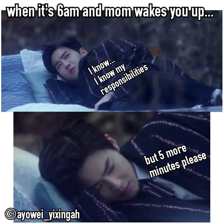 aiyowei_xingah's tweet photo. Streamin' til dawn but u still got responsibilities. 

#exomemes #kpopmemes #forlife #exo #exoslay https://t.co/pp0Olee2qU