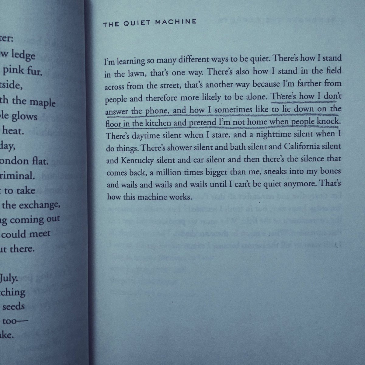SAINT_avi's tweet photo. @adalimon thank you. #BrightDeadThings https://t.co/lC5UeMgtR2