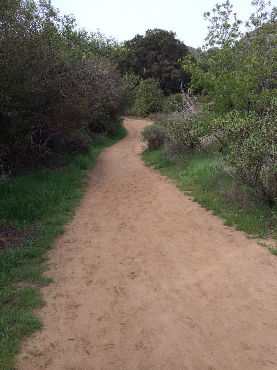 SeeSantaClarita's tweet photo. Everything has a bit more green to it after a great rain storm! It's time to get back on the trails! #HikeSantaClarita #HikeSCV https://t.co/F6JMP71PrW