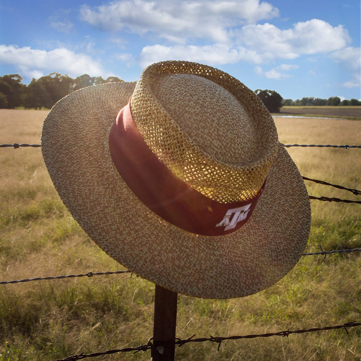 CollegeDpt's tweet photo. Dad's next golf/beach hat! https://t.co/Kd0Bq7c98m
