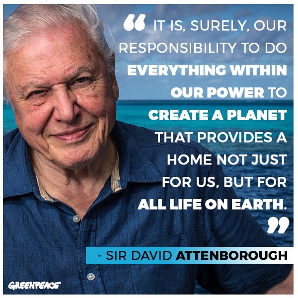Greenpeace UK tweet media