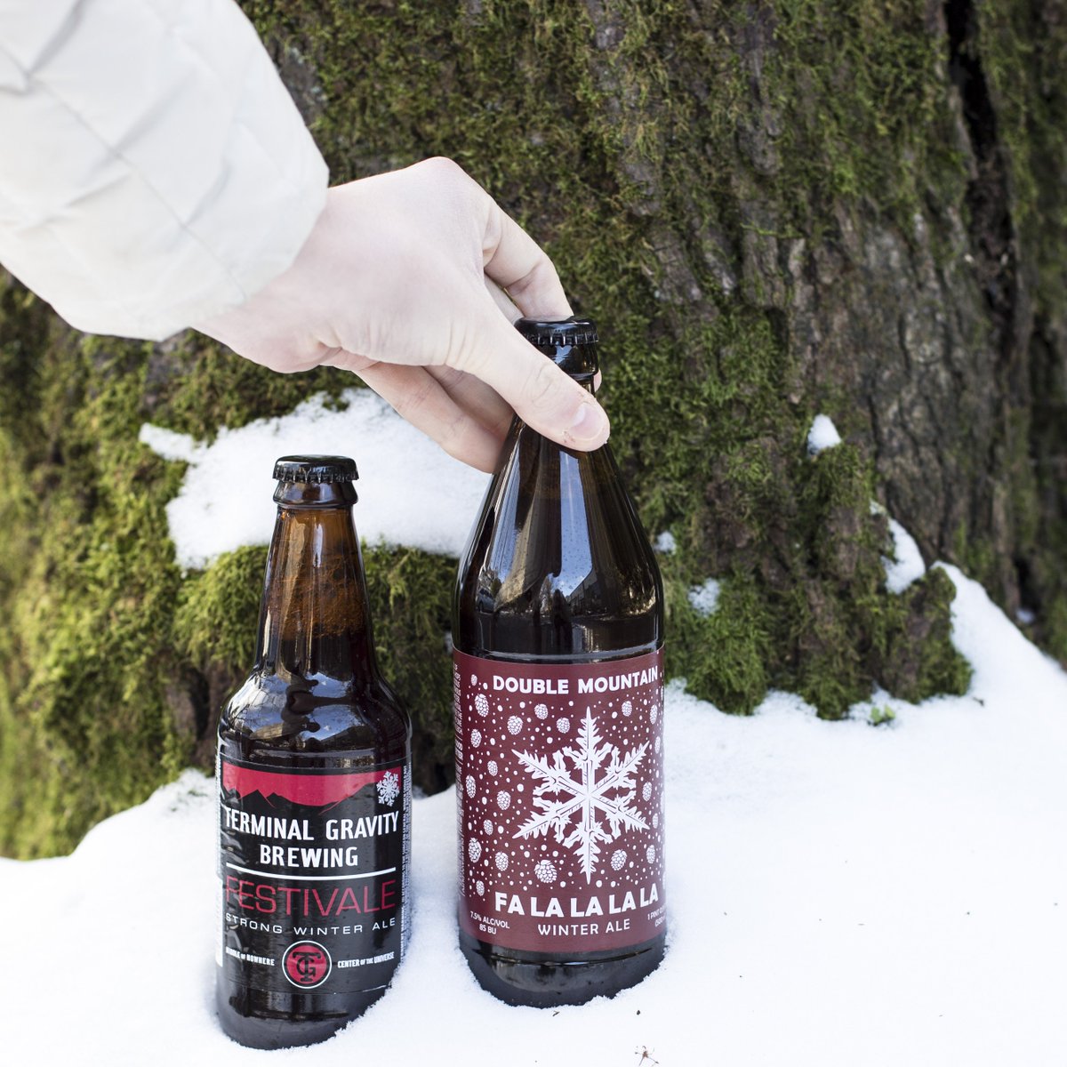 'Tis the season for holiday brews! 

Stop in for these two seasonals: <a href="/TGBrew/">Terminal Gravity</a> Festivale and <a href="/DoubleMountain/">Double Mountain</a> Fa La La La La ❄️🎶❄️