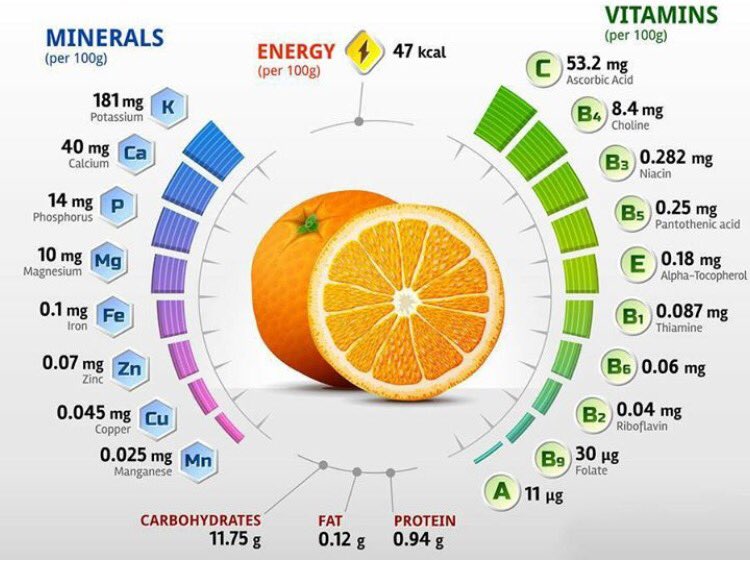 1) Belirli meyve ve sebzelerin, vitamin, mineral, enerji, protein, yağ ve karbonhidrat oranları: