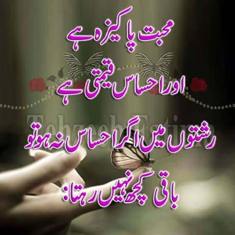 amnajutt7864's tweet photo. https://t.co/cp9uFMM7r0