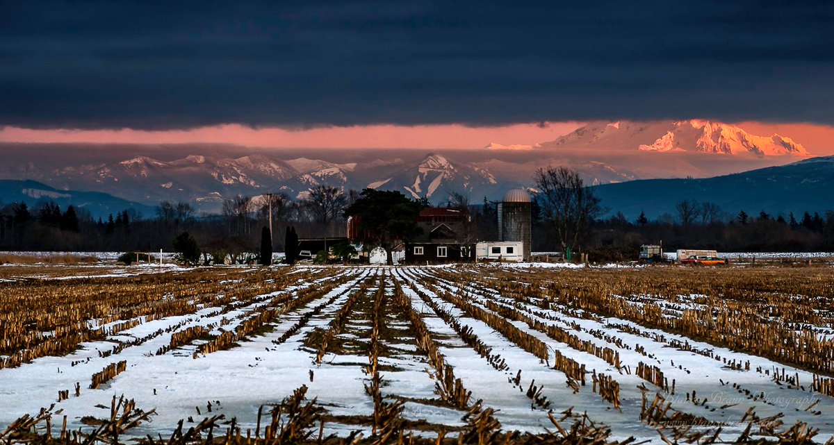 komonews's tweet photo. #Sunset behind #MountBaker, taken from a nearby farm. 💓 #PNWbeauty 

Lovely photo from Blanca C. Braun Photography. #komoLOZ https://t.co/sFHPEySnwR