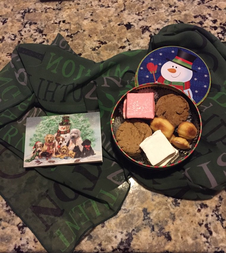 kcmmp13's tweet image. Thank you @liazikos for trading w/ me so I could have #Slytherin #litcube items, but also for this delicious looking box of cookies!