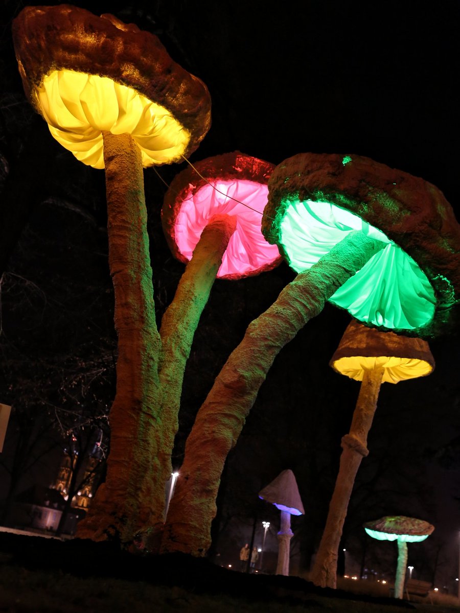 Ścieżka światła na #bulwarXD #weekend #ESK2016 @Wro2016 #spaceremPoWrocławiu