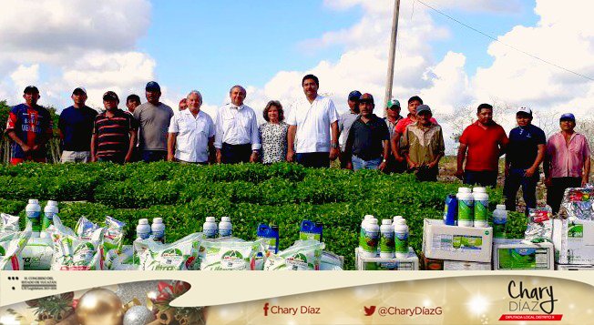 CharyDiazG's tweet photo. Presentes en Dzilam González para la entrega de plántulas de chile habanero y fertilizantes orgánicos, con una inversión de 120 mil pesos. https://t.co/dVbcAkpdXu