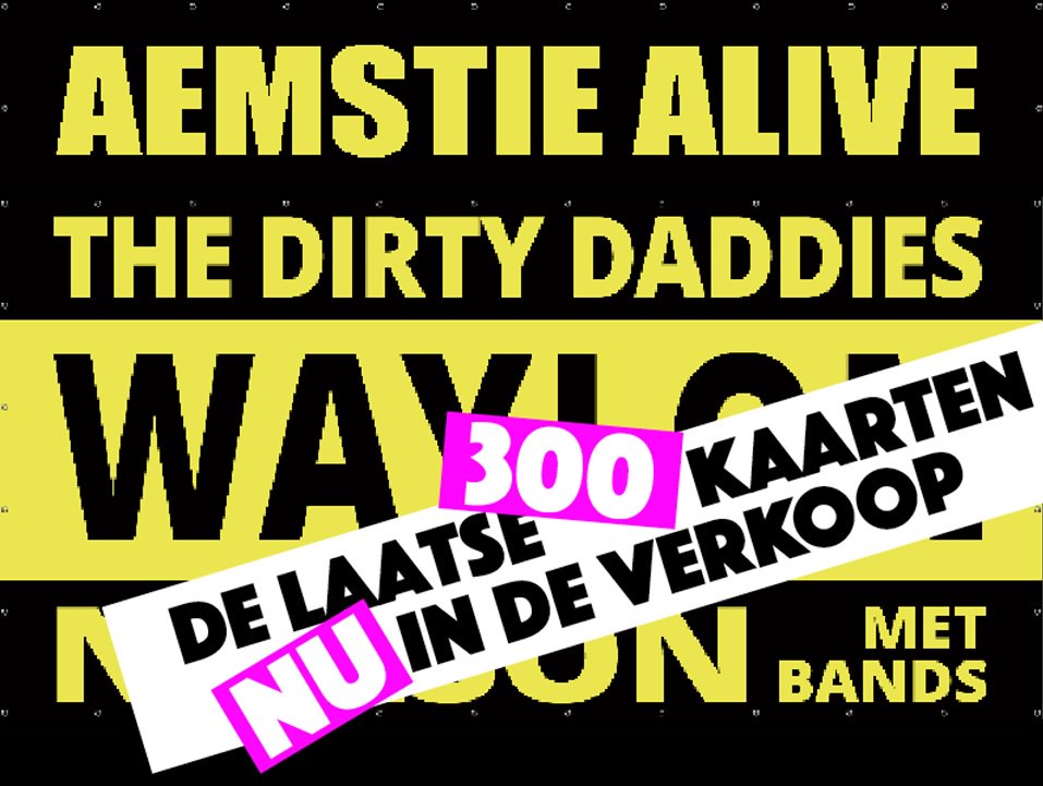 PetraNoordijke's tweet image. Laatste 300 kaarten voor zaterdagavond gaan NU in de verkoop
aemstie.nl/2017/ #AemstieAlive #BurghHaamstede @waylonline @NielsonMusic