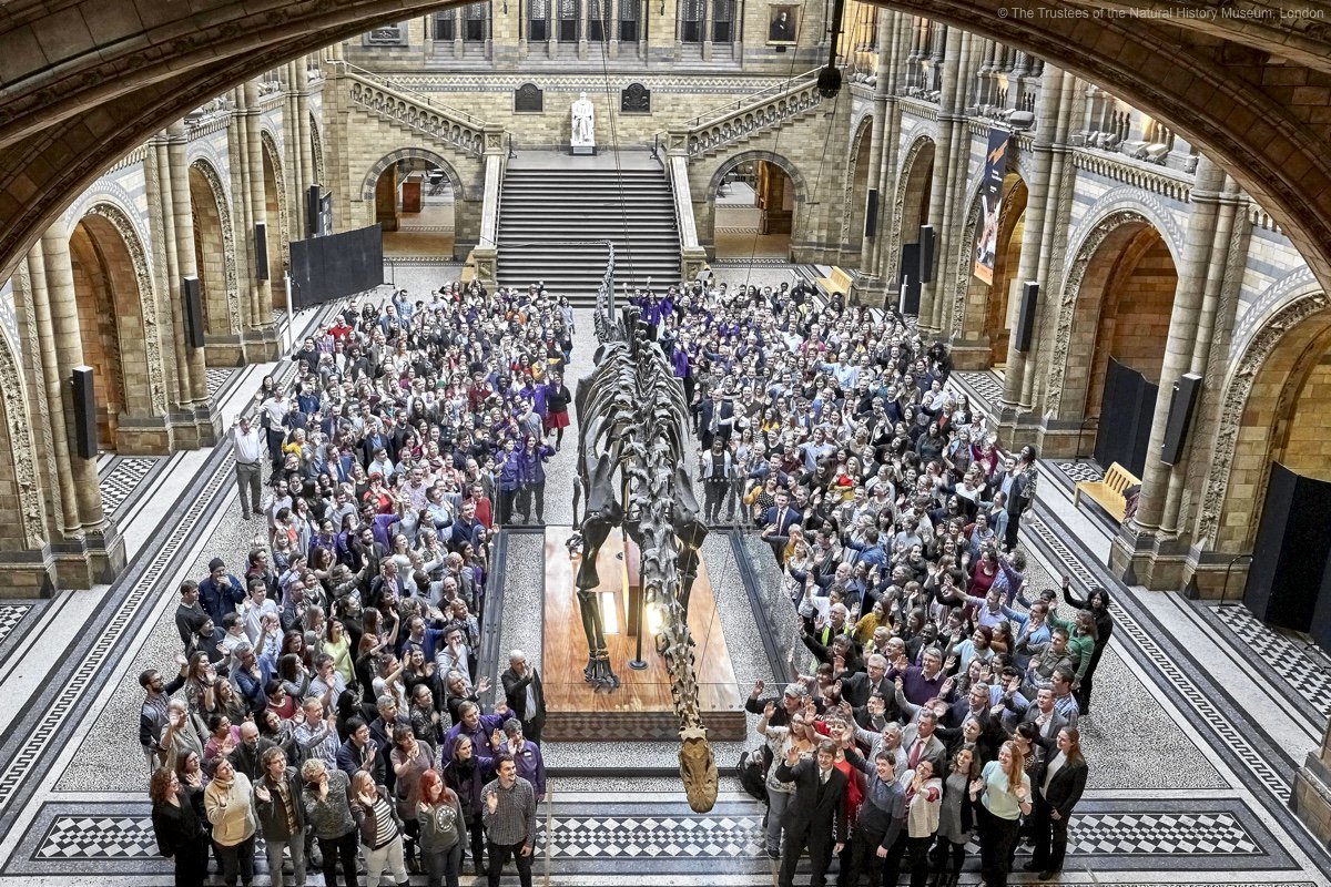 NHM_London's tweet photo. ADVANCE NOTICE: w/ Dippy going and the blue whale skeleton arriving, Hintze Hall is closed from 5 Jan to mid-2017 https://t.co/jUJExIVxhG https://t.co/1Lo5DNmbE6