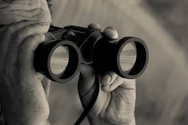 Licensed Private Investigations.  bluelineinvestigator.com
