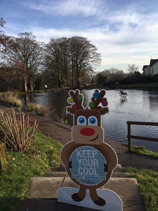 RogerstoneLab's tweet photo. Ronni the @UsdawUnion reindeer will be the Co-op tomorrow morning 10-12 come along and say hello #respect16 seen here @14LocksCafe this week https://t.co/TxUSmDqCcJ