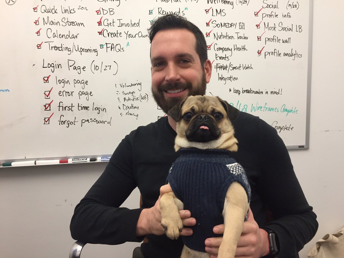 ImminentDigital's tweet photo. Chief Happiness Officer in the house! We're working hard to make work irresistible at https://t.co/voAzwiOyg8 #EmployeesRule #pugs #friday https://t.co/vAh4TflzWe