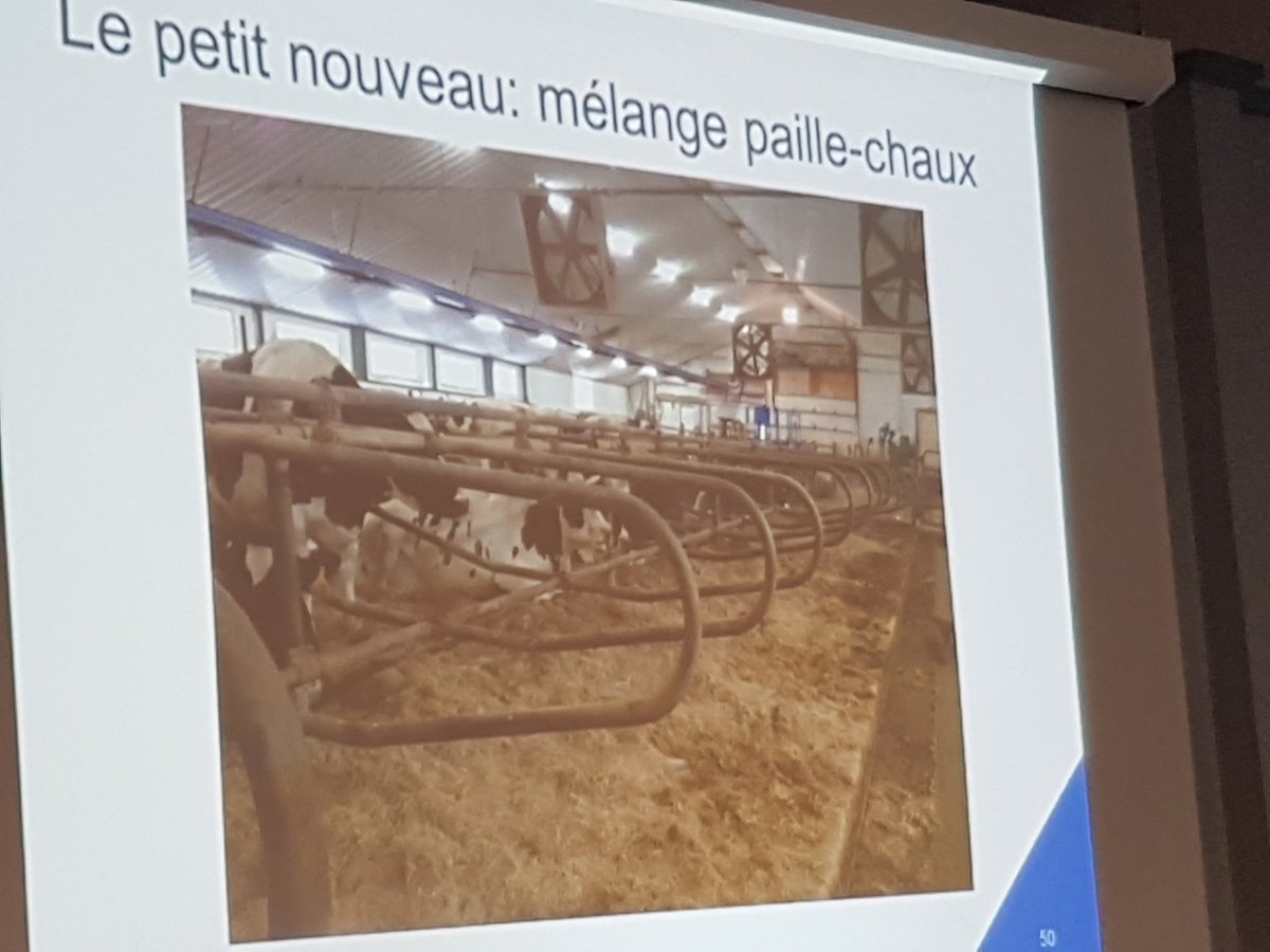 JustinRDMV's tweet photo. Carrier : choix de litière profonde #CSVVF https://t.co/F9OQwYMcvm