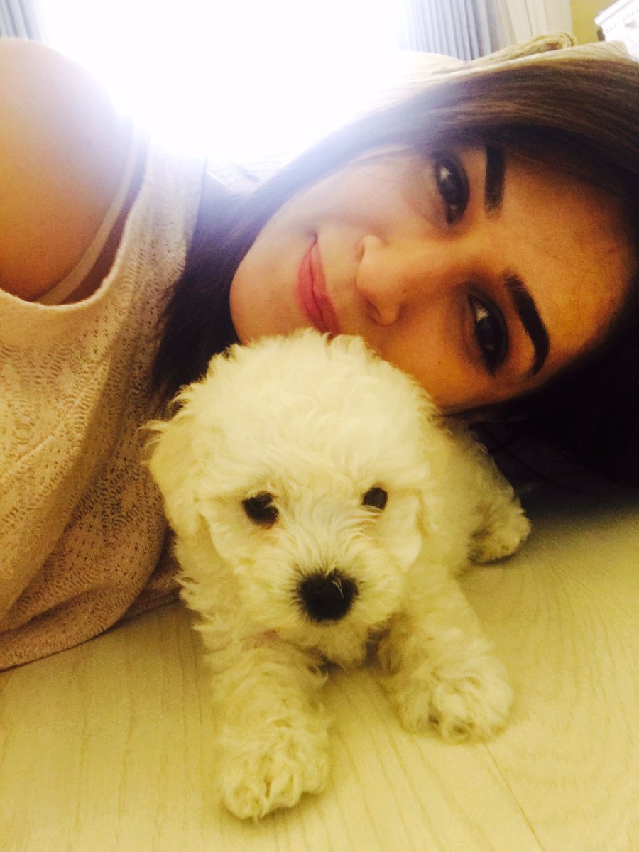 Meet DISCO❤️❤️ new and the cutest member of my family!! #munchkin #puppylove