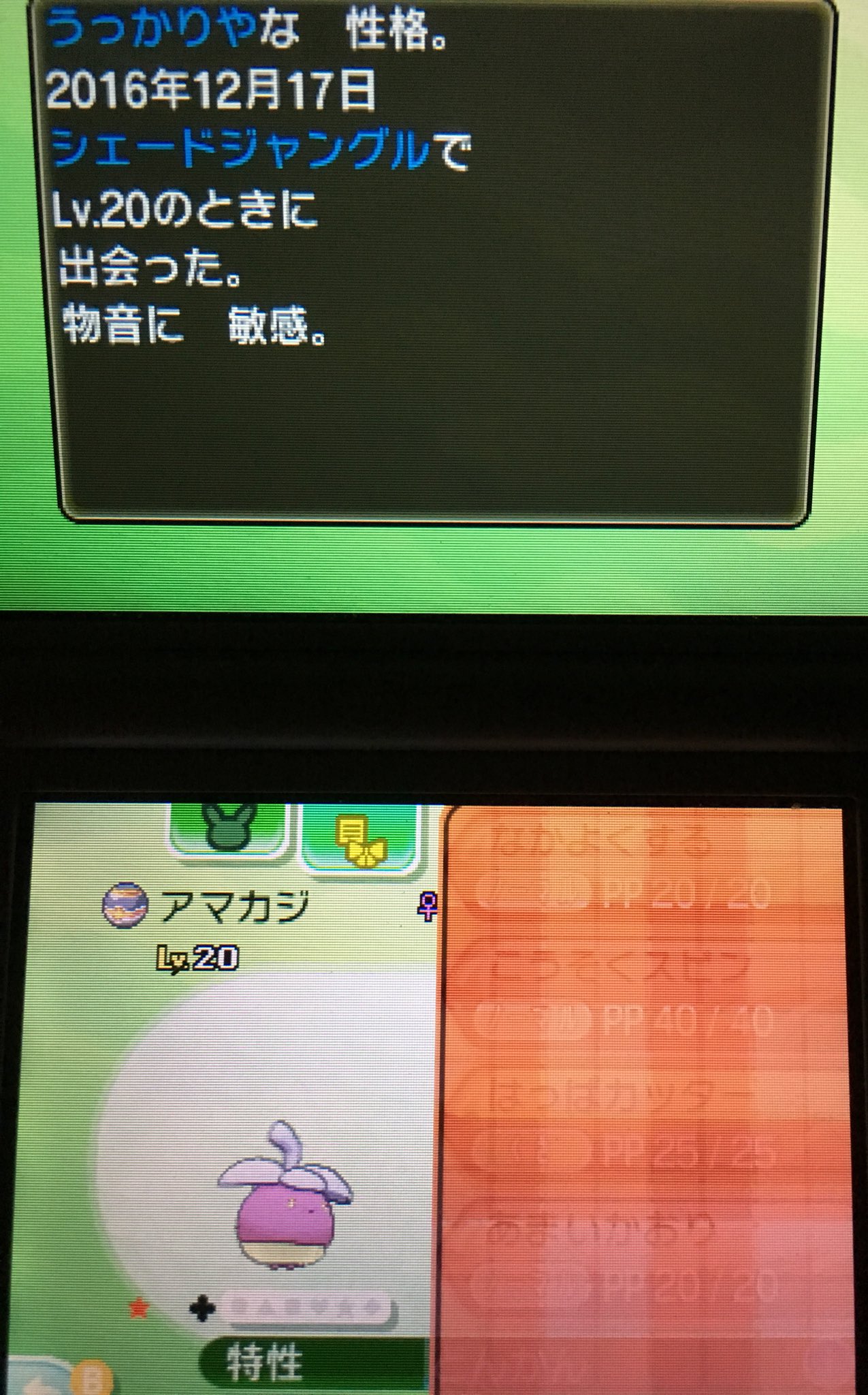 ビビりだまチェイン Recherche Twitter Twitter
