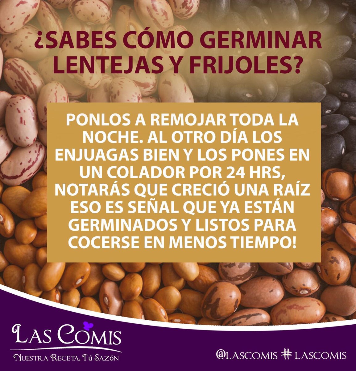 LasComis's tweet photo. #lascomis #lentejas #frijol #germinadas #germinar #agua #remojar #salud #saludable #Cocina #BuenViernes ❤️️🙏🙏😘 https://t.co/UKvA5B75dI