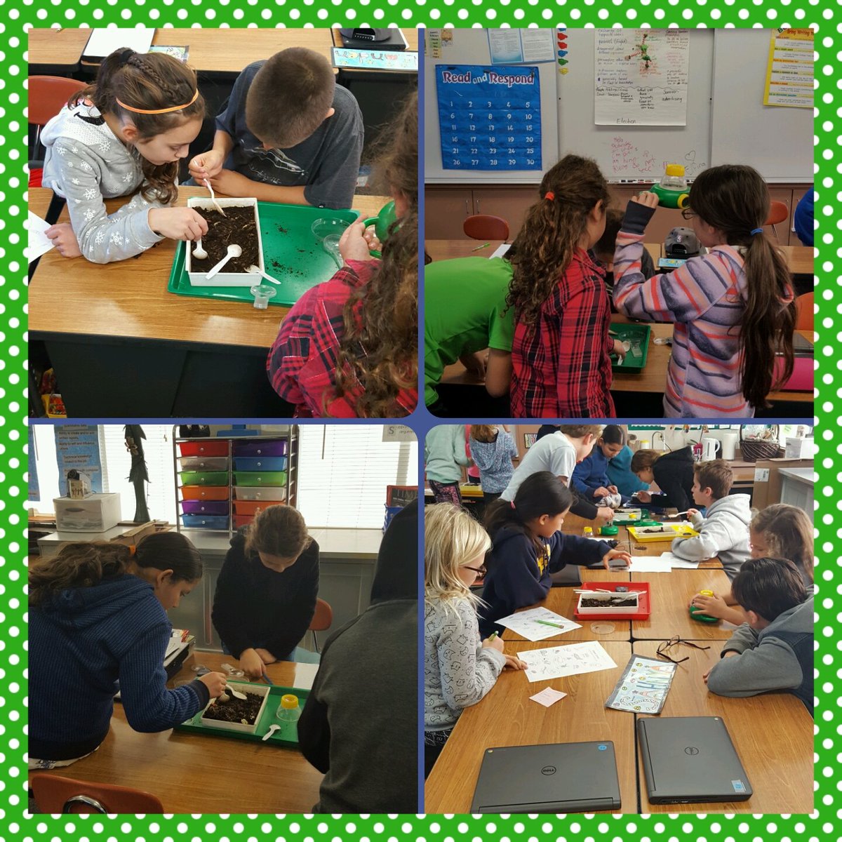 Heather Farms composting workshop! 5th graders love investigating dirt &amp; critters! <a href="/jseroadrunners/">John Swett Elementary</a> <a href="/MUSDTechTweets/">Educational Technology</a> <a href="/MartinezUnified/">Martinez U.S.D.</a> @CJMUSD