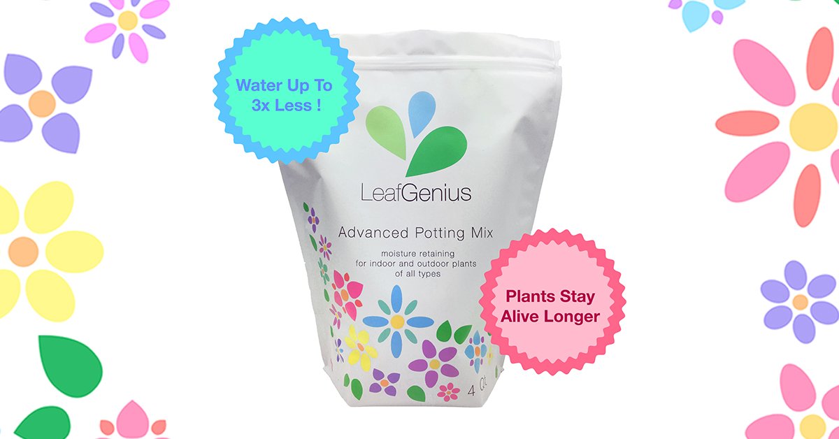 Leaf_Genius's tweet photo. Now available in Canada in time for the holidays! Perfect for your indoor plants and new year seedlings! Check out https://t.co/4k8Ohil2be https://t.co/aL3drngyGZ