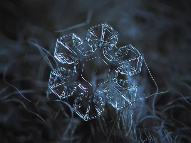 glassisback's tweet image. Macro photos of snowflakes show naturally perfect designs

treehugger.com/natural-scienc…