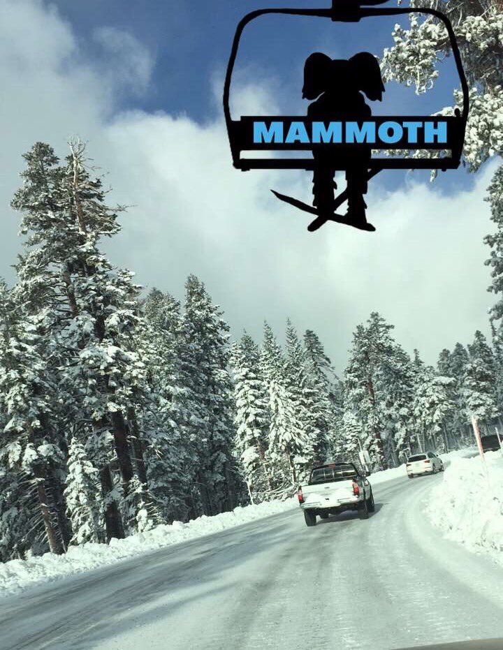 Nick Koehler tweet media